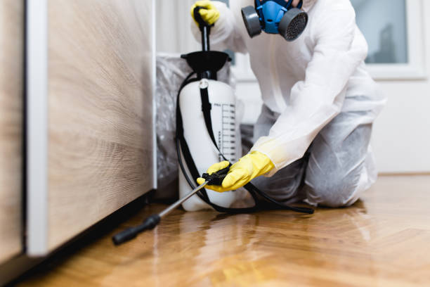 Best Wildlife Control Services  in Cutler, CA