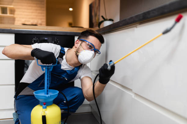 Best Local Pest Control Services  in Cutler, CA