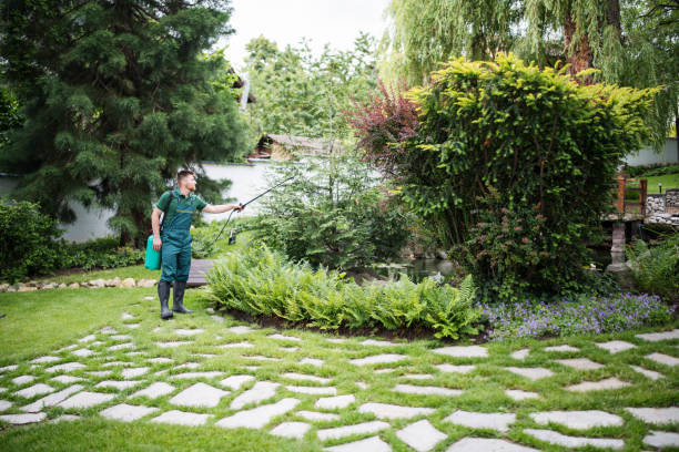 Reliable Cutler, CA Pest Control Solutions