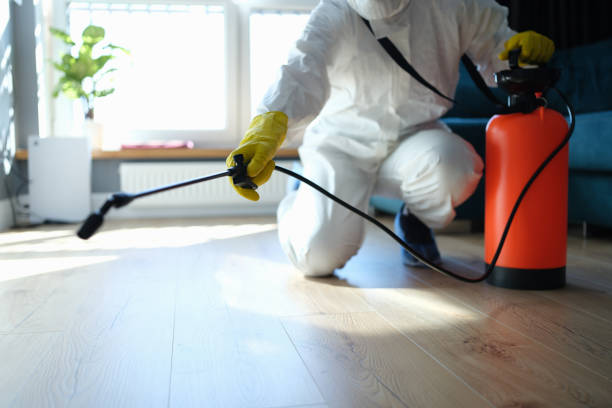 Best Pest Removal Services  in Cutler, CA