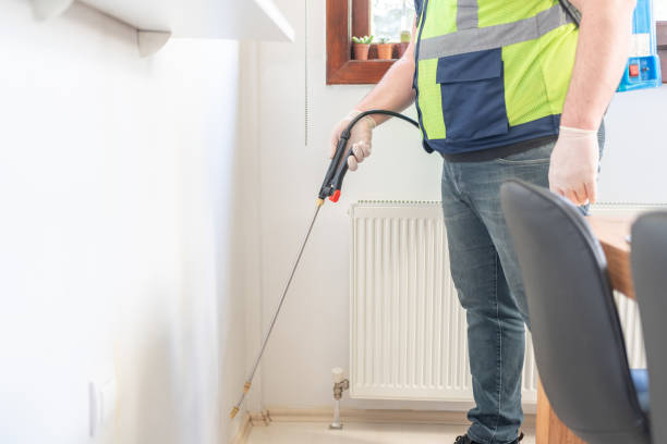 Best Affordable Pest Control Services  in Cutler, CA
