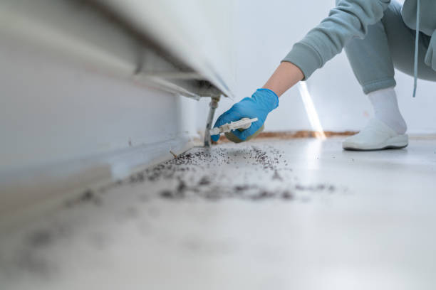 Best Best Pest Control Companies  in Cutler, CA